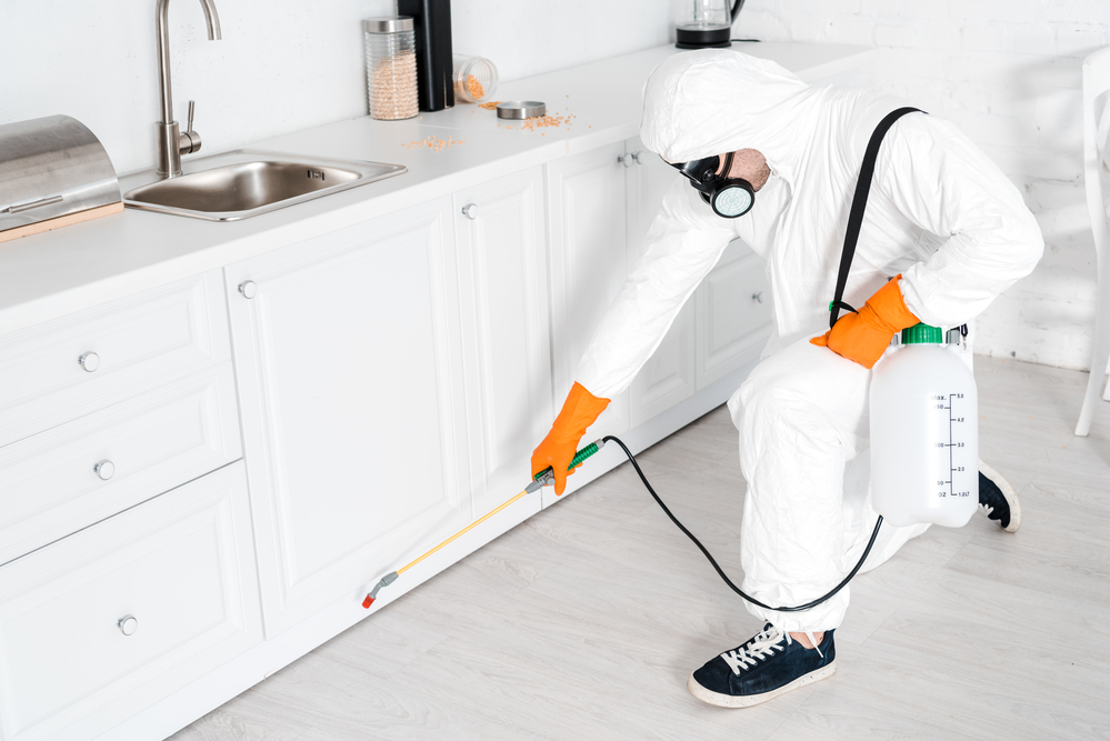 What Safety Precautions to Take While Doing Pest Control?