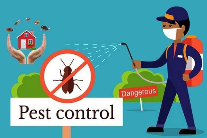 Why Pest Control is Important?